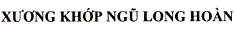 Mẫu nhãn của đơn 4-2024-20933