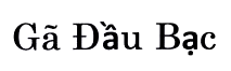Mẫu nhãn của đơn 4-2024-21162
