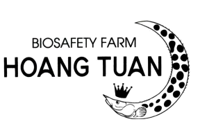 Mẫu nhãn hiệu 