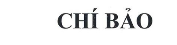 Mẫu nhãn hiệu 