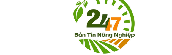 Mẫu nhãn hiệu 