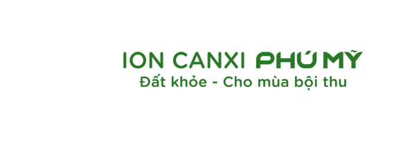 Mẫu nhãn hiệu 