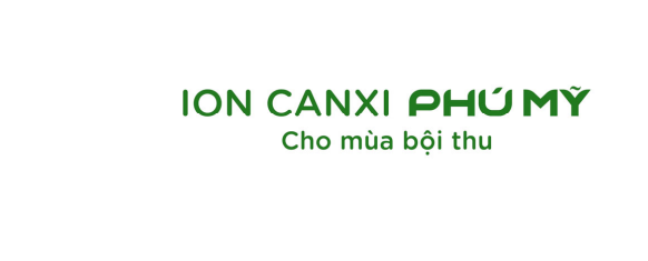 Mẫu nhãn hiệu 