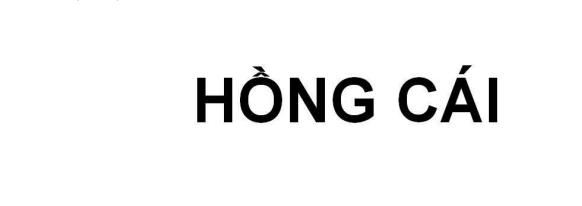 Mẫu nhãn hiệu 